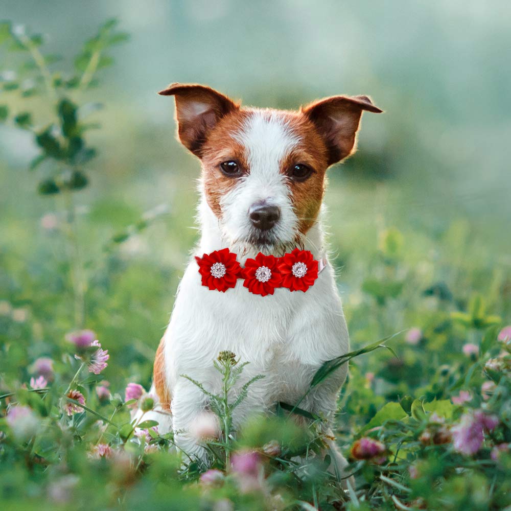 15pcs/Pack Dog Bow Tie Dog Flower Collar Diamond Dog Accessories